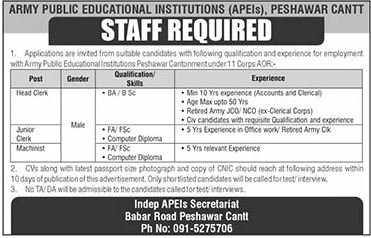 apei peshawar jobs 2026 advertisement